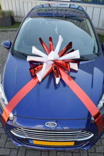 [K1290279] Magnum Bows Maxi Strik Dubbele Kleuren d60x105cm 20 Lussen