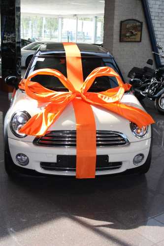 [K1290019] Super Autostrik Salerno Oranje 120x100x50cm Met Lint En Zuignap