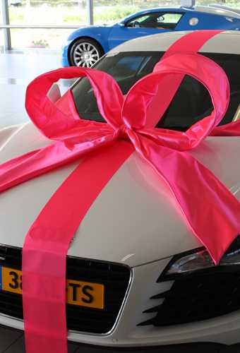 [K1290015] Super Autostrik Salerno Pink 120x100x50cm Met Lint En Zuignap