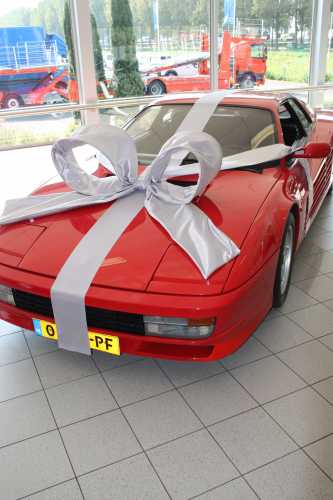 [K1290018] Super Autostrik Salerno Zilver 120x100x50cm met lint en zuignap