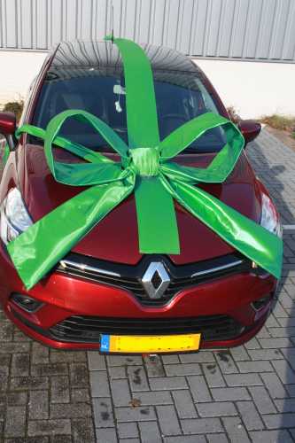 [K1290301] Super Autostrik Salerno Groen 120x100x50cm Met Lint En Zuignap