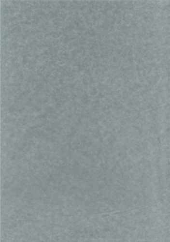 [K1090048] Zijdevloei - Vloeipapier Onbedrukt Grijs 50x75cm 240 vellen 18gram