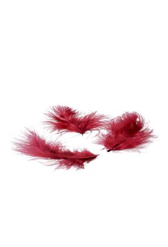 [K110015] AKTIE Luxe Decoratie Veren 40 gram Bordeaux rood