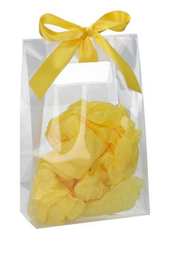 [K1110627] Kadotasjes Dolo Transparant 160my 15.5x8x24cm 25stuks