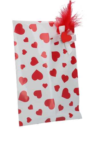 [K1070780] Kadozakjes Folie Mita Mat Hartjes & Plakstrip 12x18.5+3cm 100stuks