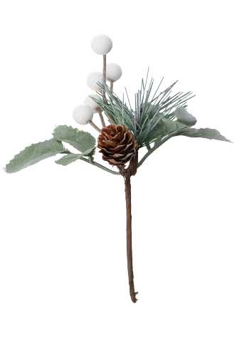 [K1340578] Kado Decoratie Dennetakje Met Witte Besje En Eikeltje 12stuks