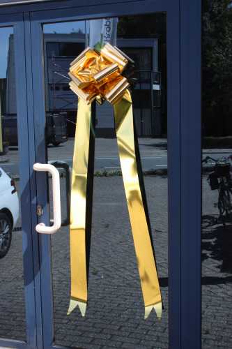 [K1290307] Grote Strik Valencia Metallic Goud Deur & Zuignap d36x36+140cm