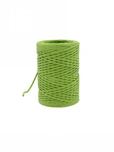 [K1390916] Papierkoord Met IJzerdraad Lime Groen 2mm x 50meter