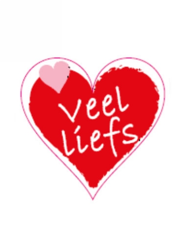 [K1210017] Etiketten Liefde Veel Liefs 4x3.5 cm 500stuks