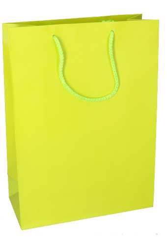 [K1110086] Kadotasjes Latina Mat Lime Groen Met Koord 27x12x37cm 12stuks