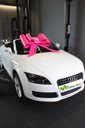 [K1290052] Megastrik Autostrik Toronto Fuchsia 86x103cm