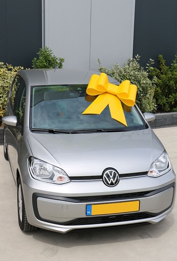 [K1290061] Megastrik Autostrik Toronto Geel 75x60cm