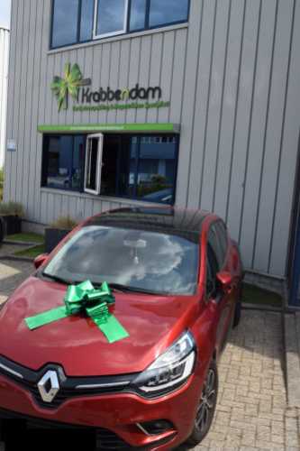 [K1290162] Autostrikken Groot Milaan Metallic Groen d36x36+24cm