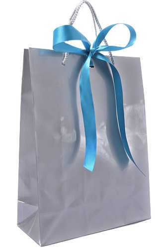 [K1110490] Kadotasje Sora Zilver Glans & Koord & Lintgleuf 24x10x32cm 10stuks