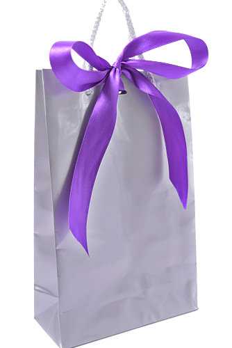 [K1110491] Kadotasje Sora Zilver Glans & Koord & Lintgleuf 16x7x25cm 10stuks