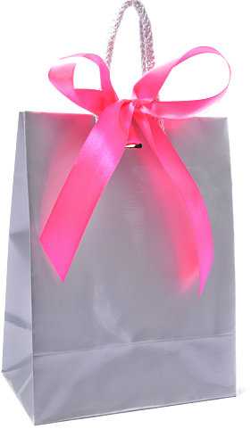 [K1110492] Kadotasje Sora Zilver Glans & Koord & Lintgleuf 15x9x20cm 10stuks