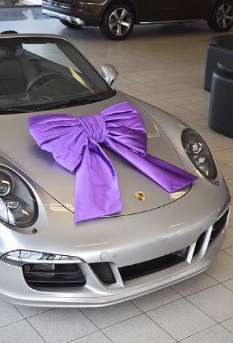 [K1290235] Megastrik Dubbel Paars Lucca 77x50+40cm & Zuignap lint 25cm