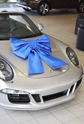 [K1290236] Megastrik Dubbel Blauw Lucca 77x50+40cm & Zuignap lint 25cm