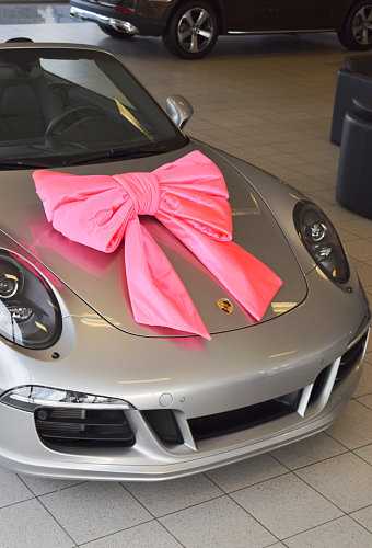 [K1290239] Megastrik Dubbel Pink Lucca 77x50+40cm & Zuignap lint 25cm