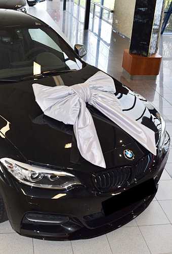 [K1290244] Megastrik Dubbel Zilver Lucca 77x50+40cm & Zuignap lint 25cm