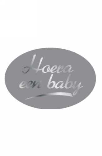 [K1210162] Etiketten Baby Hoera Een Baby Zilver 3.7x2.5cm 500stuks