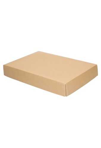 [K1270140] Geschenkdoos Kraft Gaby Kraft Naturel 52x40x9cm 25stuks