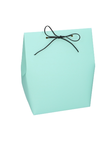 [K1070874] 2 HALEN & 1 BETALEN Kadozakjes Borgo Mintgroen 18x11.5x24.5cm 10stuks