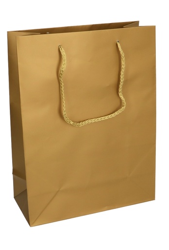[K1110030] Kadotasjes Latina Mat Goud Met Koord 22x10x29cm 12stuks