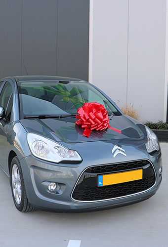 [K1290378] Autostrikken Groot Padova XL Lak Rood d40+22cm Hoogte 28cm.