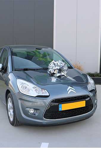 [K1290376] Autostrikken Groot Padova XL Metallic Zilver d40+22cm Hoogte 28cm.