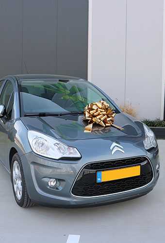 [K1290375] AKTIE Autostrikken Groot Padova XL Metallic Goud d40+22cm Hoogte 28cm.