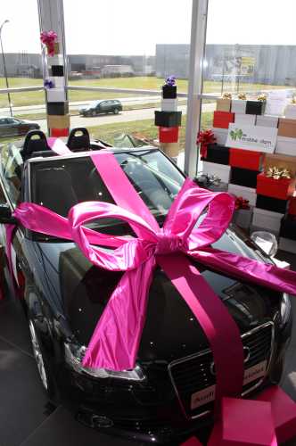 [K1290031] Super Autostrik Salerno Magenta 120x100x50cm Met Lint En Zuignap