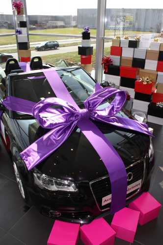 [K1290032] Super Autostrik Salerno Paars 120x100x50cm Met Lint En Zuignap