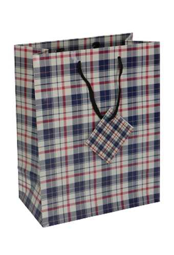 [K1110722] Kadotasjes Everyday Medium Schotse Ruit 18x10x23cm 12stuks