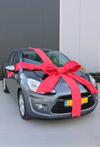 [K1290380] Super Autostrik Salerno Rood Klein 80x70x30cm Met Lint En Zuignap