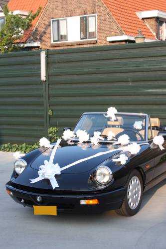 [K1290133-IRIS] Trouwpakket Voor Auto Met Strikken en Lint Iris Wit 21delig