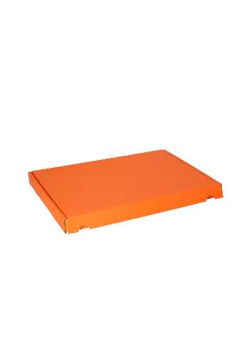 [K1490559] Brievenbusdoos Met Klep Pinto Kraft Oranje A4 31x22x2.6cm 25stuks