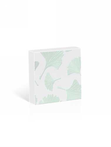 [K1020069] Kadobon + Kadodoosje Bene Ginko Mint 12x12x3cm 10stuks