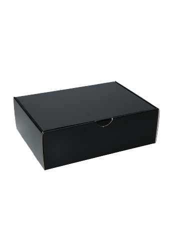 [K1490508] OPRUIMING Klep Verzenddoos Pinto Glans Zwart 25x18.4x8cm 25stuks