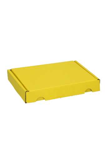 [K1490560] Brievenbusdoos Met Klep Pinto Kraft Geel A6 16x12x2.5cm 25stuks