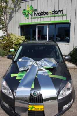 [K1290039] Magnum Autostrik Livorno Metallic Zilver Strik 90x60+70cm