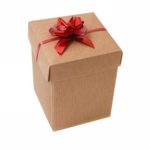 [K1270305] Kadodoos Dozza Met Deksel Naturel 431gram 10x10x12cm 10stuks