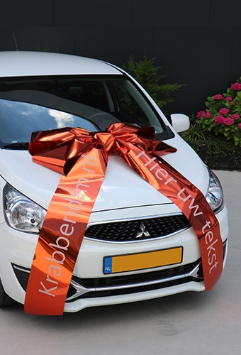 [K1290434] Magnum Autostrik Livorno Oranje Bedrukt Met Tekst 90x60+100cm