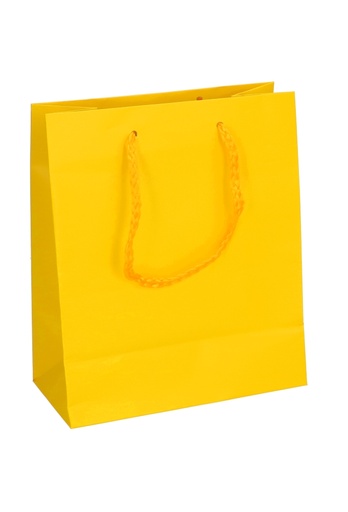[K1110097] Kadotasjes Latina Mat Geel Met Koord 16x8x19cm 12stuks