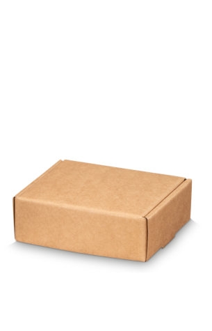 [1490544] Klep Verzenddoos Pinto Smal Kraft 14.5x12x5cm 50stuks