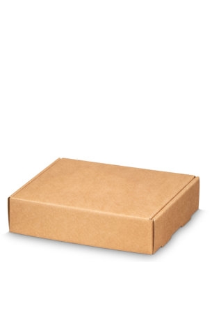 [1490545] Klep Verzenddoos Pinto Middel Kraft 20.5x17x5cm 50stuks