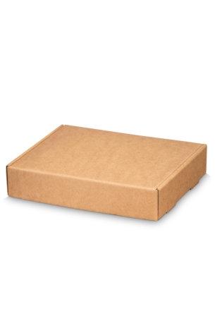 [1490546] Klep Verzenddoos Pinto Groot Kraft 24.5x20x5cm 50stuks