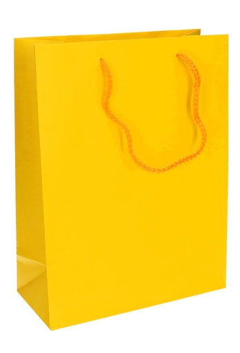 [K1110098] Kadotasjes Latina Mat Geel Met Koord 22x10x29cm 12stuks