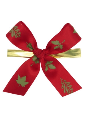 [K1420282] Strikje Satijn Herfstblad Rood & Groen Met Clip 6x6cm 250stuks