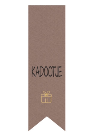 [K1210267] Langwerpig Vaandel Everyday Kadootje Kraft 2.5 x 8.5cm 250stuks